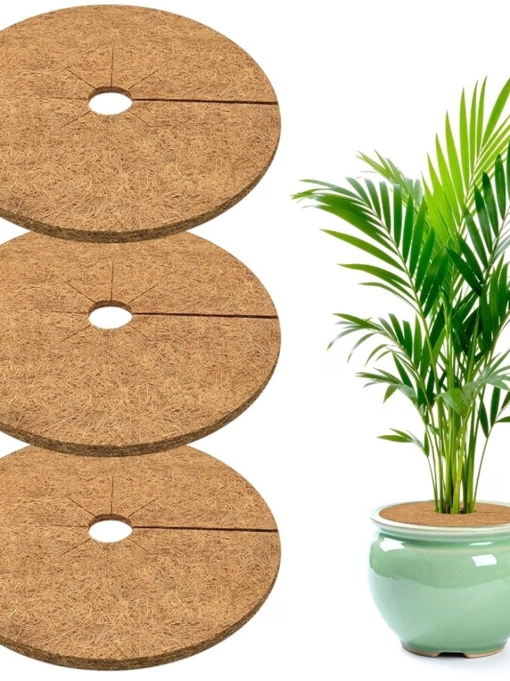Coir Potting Tree Rings - Natural Brown Mulch Discs (3 Pack)